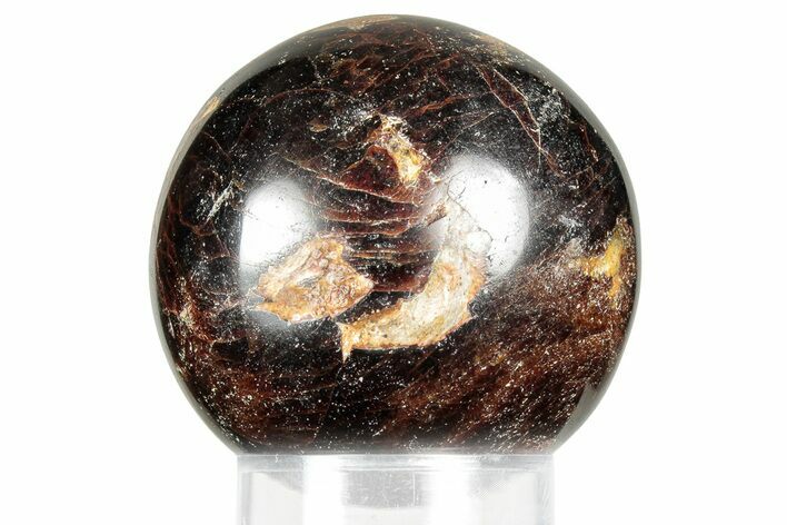 Polished Almandine Garnet Sphere - India #359914